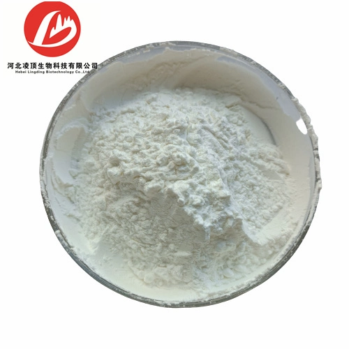 Preferential Prices Supply High Quality CAS 17465-86-0 Cyclodextrins Powder