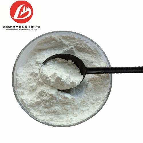 Raw Material 2, 6-Di-O-Methyl-Beta-Cyclodextrin Powder CAS 51166-71-3