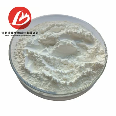 Hot Sale 2, 6-Di-O-Methyl-Beta-Cyclodextrin Powder CAS 51166-71-3