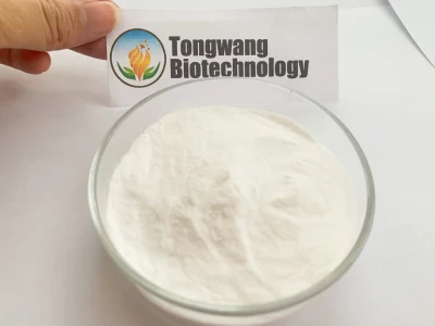 High Purity CAS No 128446-35-5/ 94035-02-6 Hydroxypropyl Beta Cyclodextrin in Stock